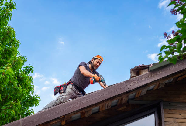 Best Chimney Flashing Repair  in Northdale, FL