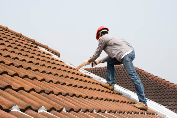 Best Tile Roofing Installation  in Northdale, FL