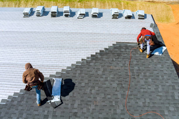 Steel Roofing in Northdale, FL