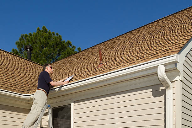 Best Roof Moss and Algae Removal  in Northdale, FL